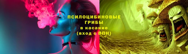 дмт Кинешма