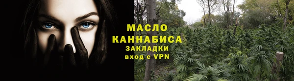 дмт Кинешма
