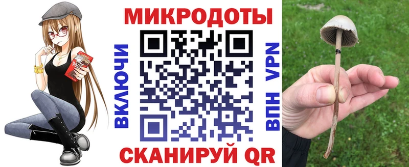 Галлюциногенные грибы Psilocybe  Купить  Духовщина 